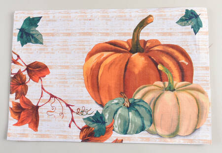 Pumpkins Cloth Placemat - Set of 4