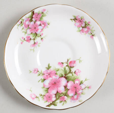 5062 Saucer