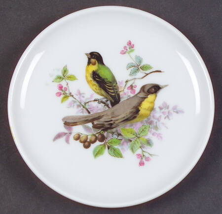 Song Birds Coaster