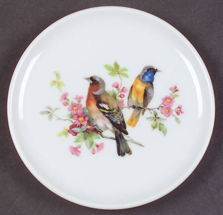 Song Birds Coaster
