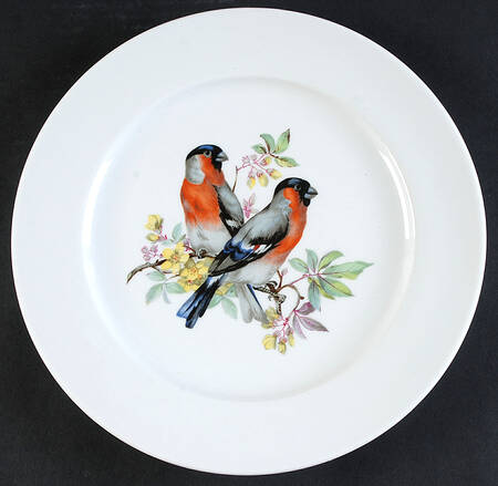 Song Birds Dinner Plate