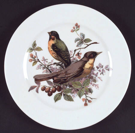 Song Birds Dinner Plate