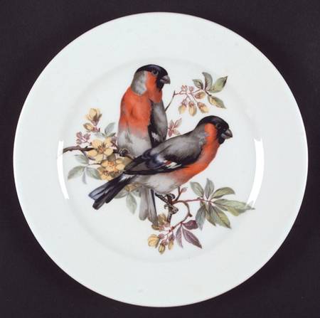 Song Birds Salad Plate