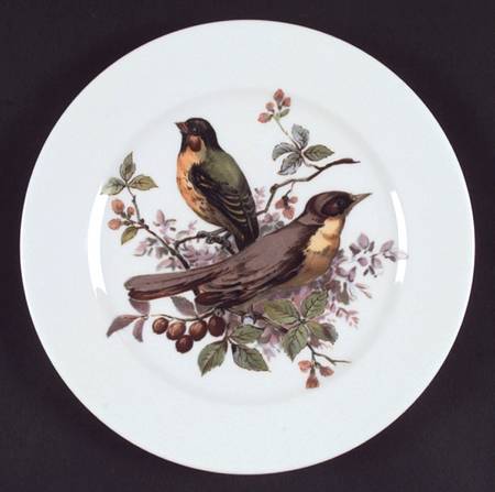 Song Birds Salad Plate