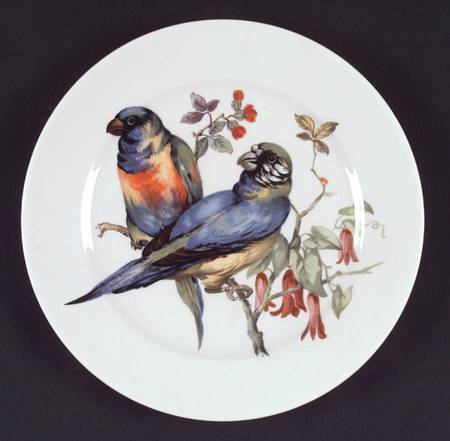 Song Birds Salad Plate