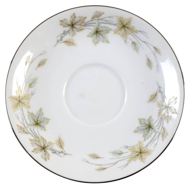 Newton Saucer
