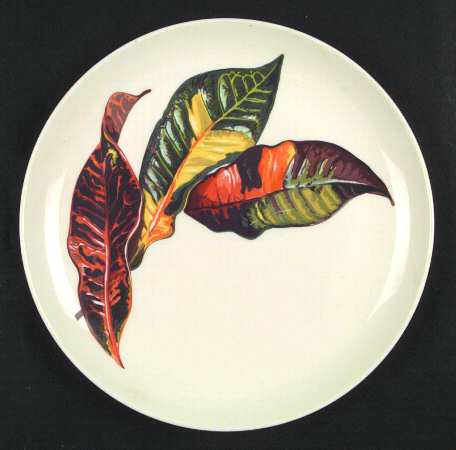 Croton Leaves by Santa Anita