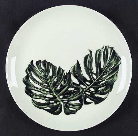 Monstera Leaves by Santa Anita