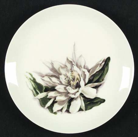 Night Blooming Cereus by Santa Anita