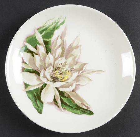 Night Blooming Cereus Bread & Butter Plate