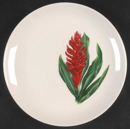 Red Ginger Salad Plate