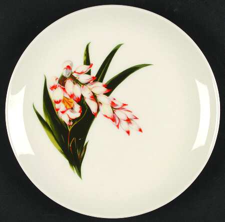 Shell Ginger Salad Plate