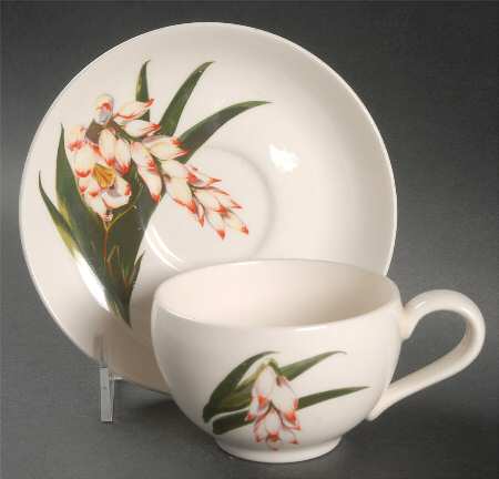 Shell Ginger Flat Cup & Saucer Set