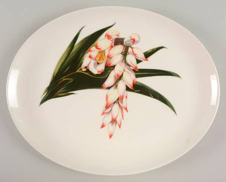 Shell Ginger 13" Oval Serving Platter