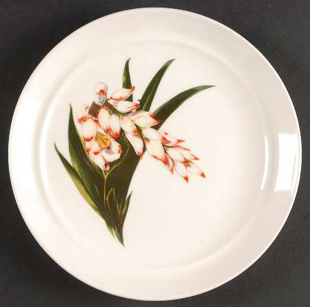 Shell Ginger Covered Toast Dish W/No Cover