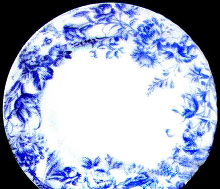 Plantation Toile by Sadek