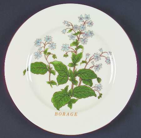 SAD13 Salad Plate