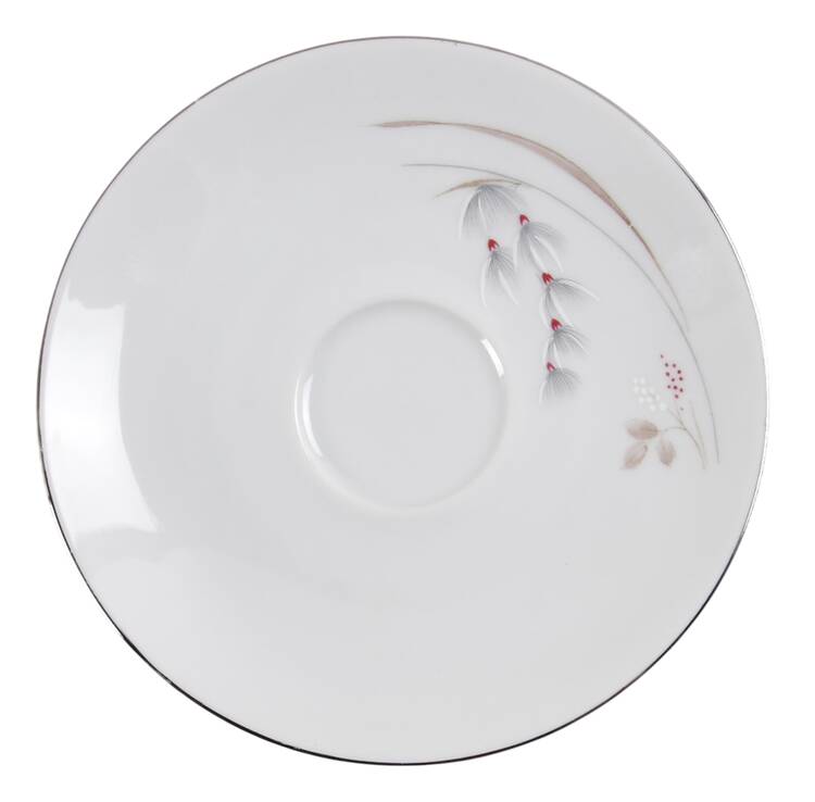 Fantasy Saucer