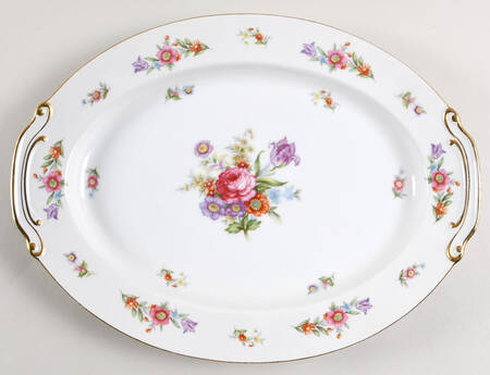 Dresdenia(Japan) 16" Oval Serving Platter