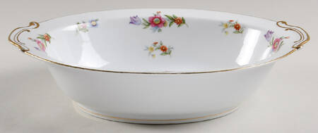 Dresdenia(Japan) 10" Oval Vegetable Bowl