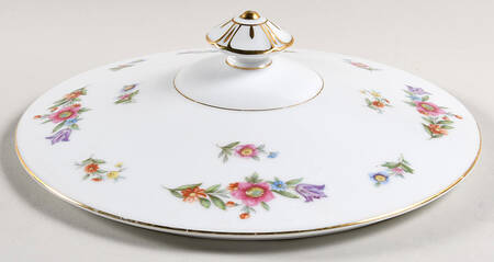 Dresdenia(Japan) Lid for Round Vegetable