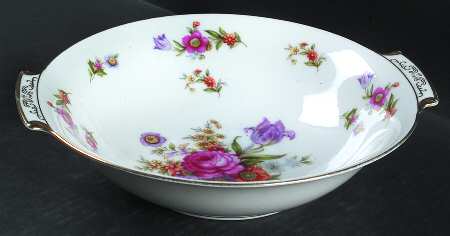 Dresdenia(Japan) 9" Round Vegetable Bowl
