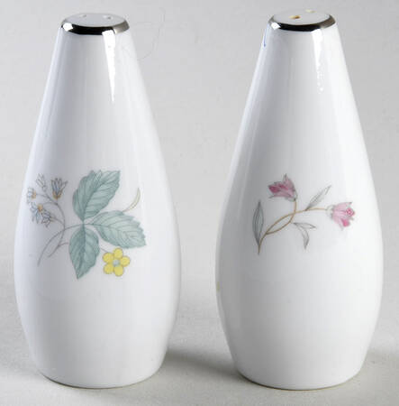 Fantasia (Platinum Trim) Salt & Pepper Set
