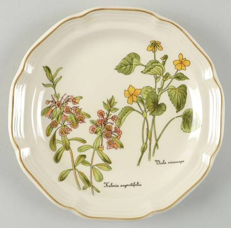 Gardener's Choice Salad Plate