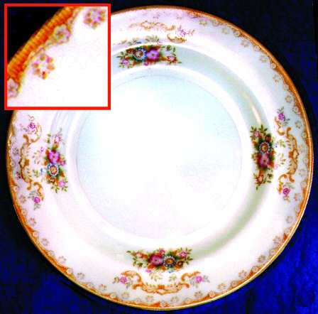 SAN12 Dinner Plate