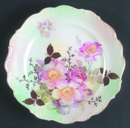 Wild Rose (Scallop, Rim, Embossed) Salad Plate