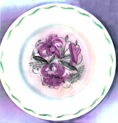 SCO4 Salad Plate