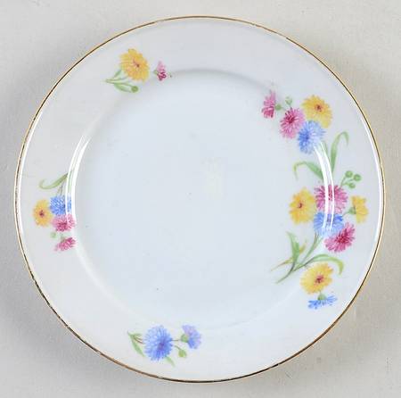 SCR2 Bread & Butter Plate