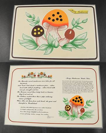 Merry Mushroom Reversible Vinyl Placemat