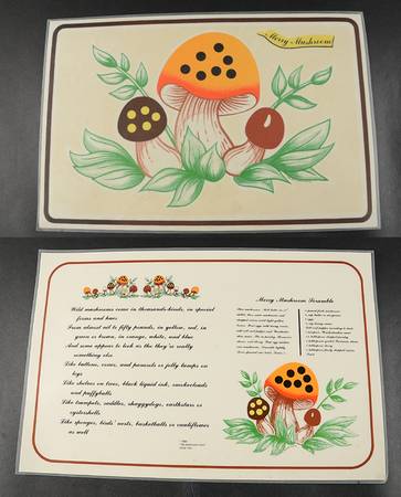 Merry Mushroom Reversible Vinyl Placemat
