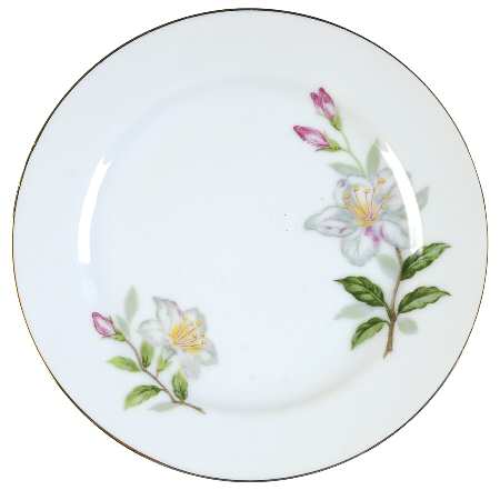 Azalea Bread & Butter Plate