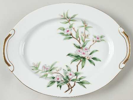 Wild Cherry 11" Oval Serving Platter
