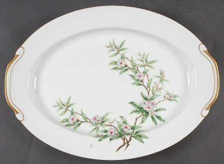 Wild Cherry 16" Oval Serving Platter