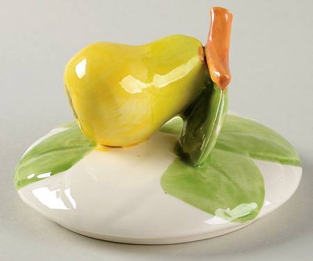 Fruit Du Jour Lid for Medium Canister