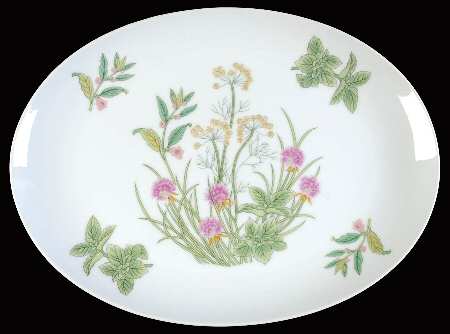 Herbs & Spices 14" Oval Serving Platter
