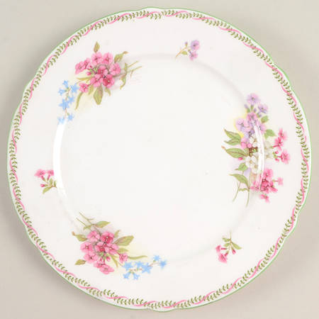 13512 Salad Plate