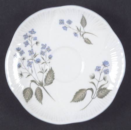 American Brooklime Saucer