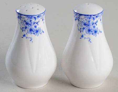 Dainty Blue Salt & Pepper Set