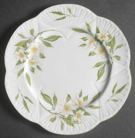 Syringa (Dainty, Green Trim) by Shelley