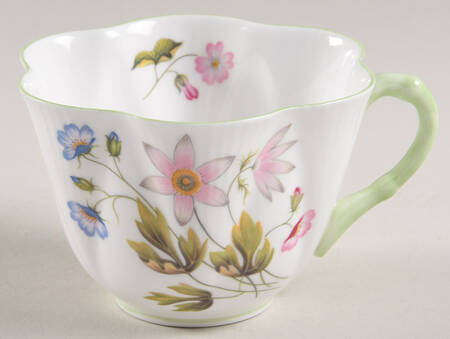 Wild Anemone Footed Cup