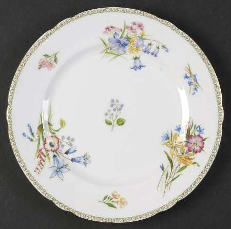 Wild Flowers (Gainsborough) Salad Plate by Shelley