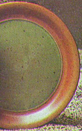 Gray Celadon Dinner Plate
