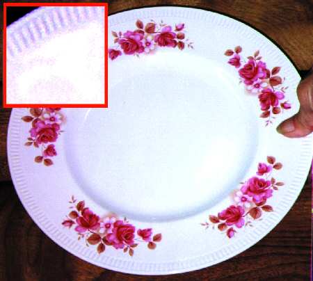 SIM3 Dinner Plate