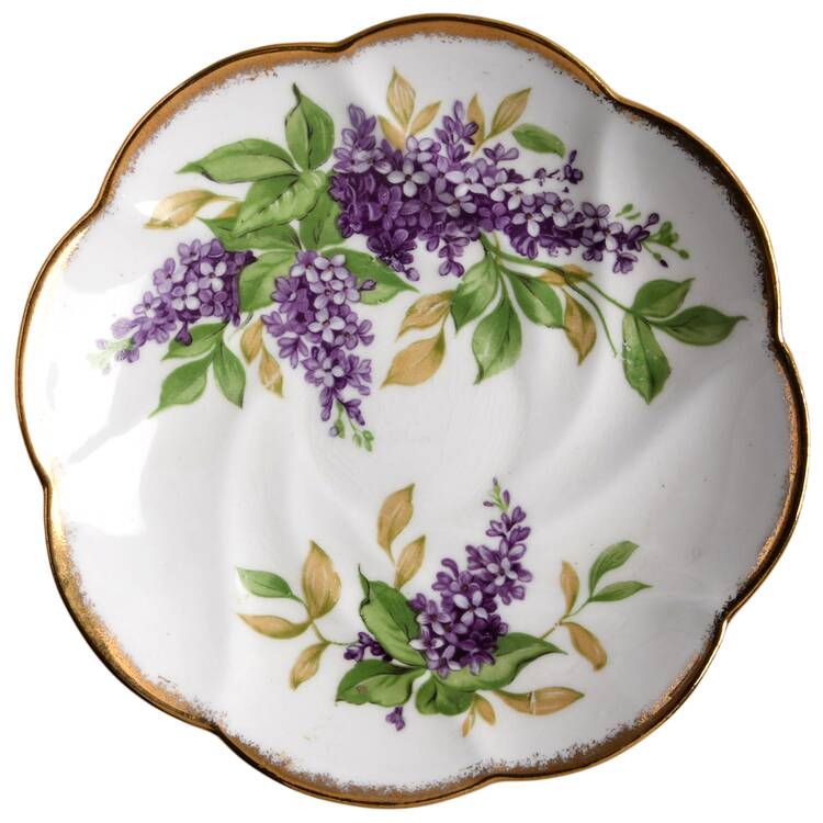 Lilac by Salisbury