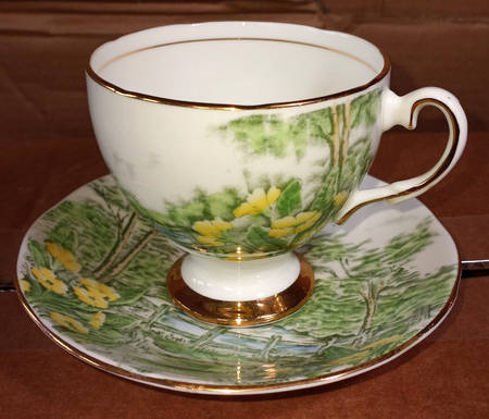 Primrose Glen Footed Cup & Saucer Set