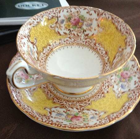 Tudor Rose Yellow by Salisbury